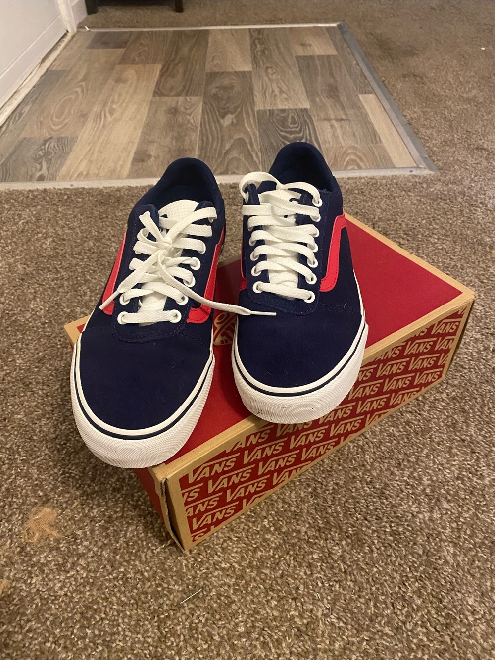 Vans Navy Sneakers with Red Side Stripe and White Laces